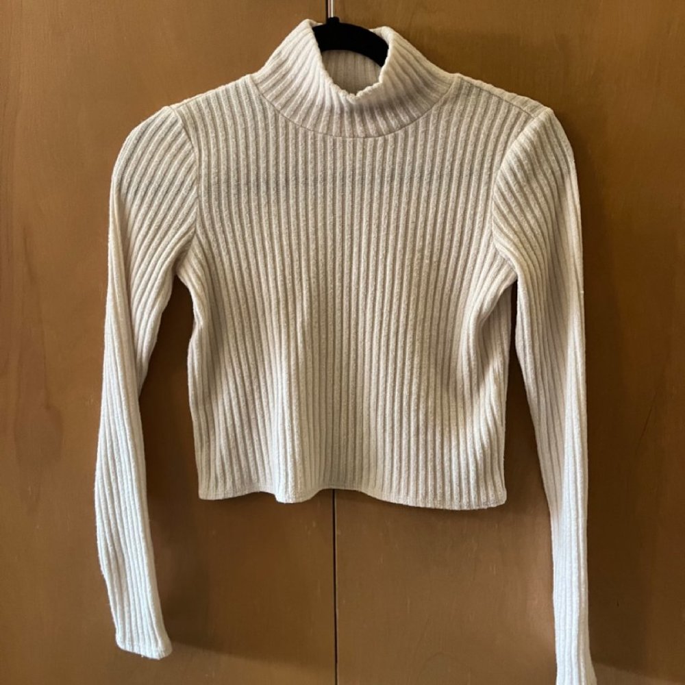 Aritzia Wilfred Free Knit Turtle Neck